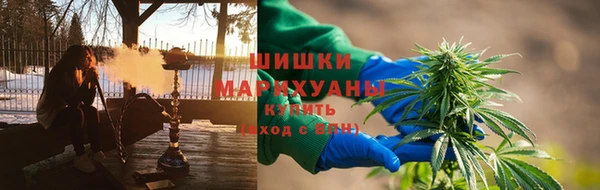 стафф Гвардейск