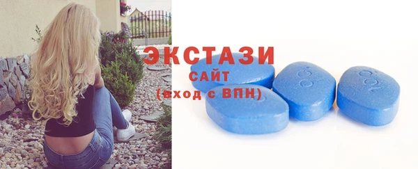 стафф Гатчина