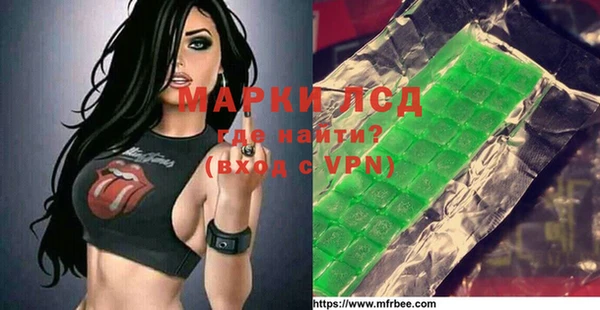 стафф Гатчина