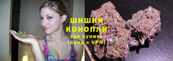 стафф Гатчина