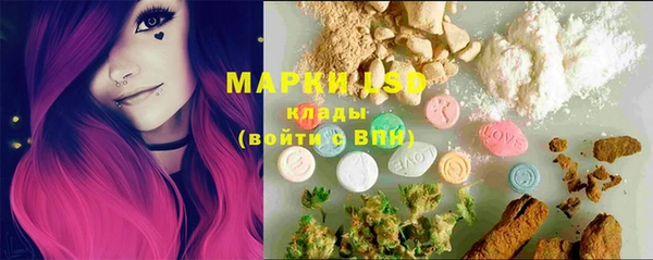 стафф Гвардейск