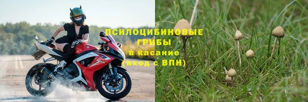 эйфоретик Армянск