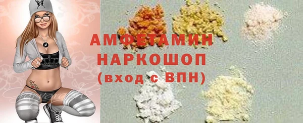 стафф Гатчина