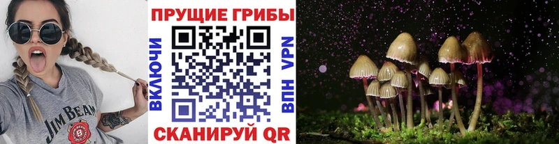 ссылка на мегу как войти  сайты даркнета наркотические препараты  Псилоцибиновые грибы MAGIC MUSHROOMS  купить наркоту  Комсомольск 